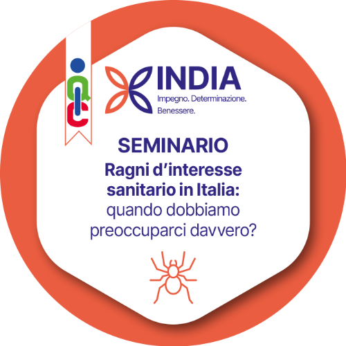 Badge pubblico 54900